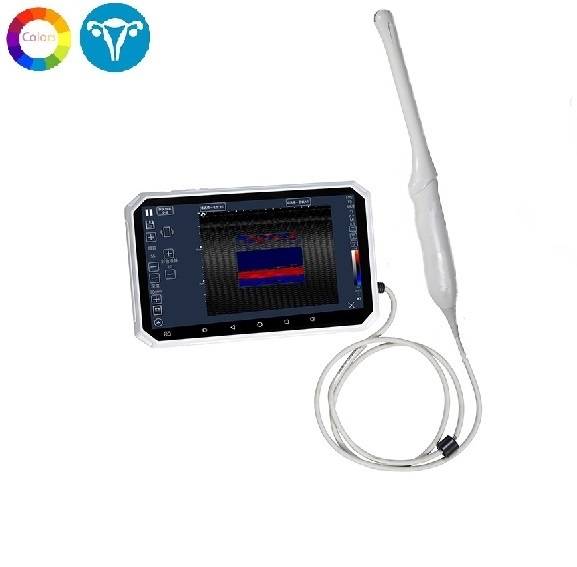 Scanner à ultrasons transvaginal couleur 6 '' écran tactile, 4-9 MHz, SIFULTRAS-1.3 main