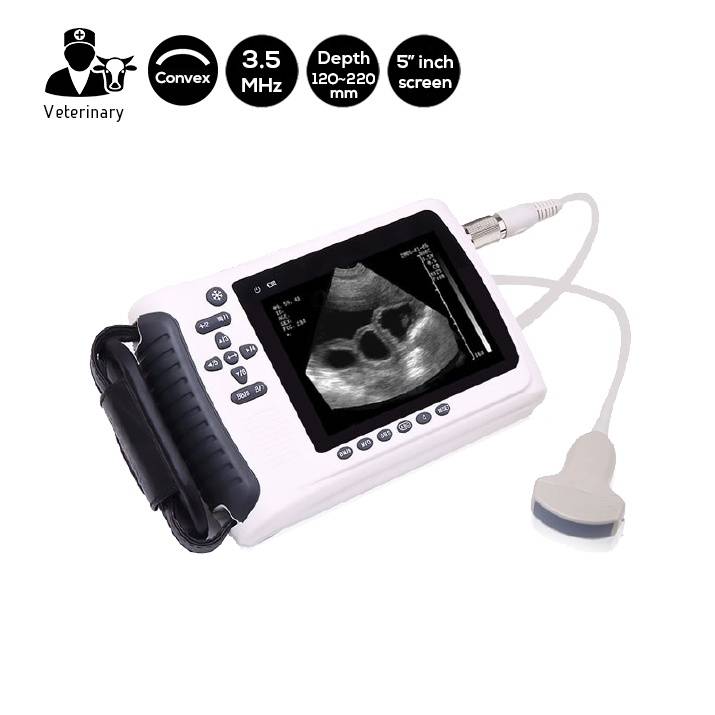 Kichunguzi cha Ultrasound cha Mifugo ya Handheld Probe SIFULTRAS-4.5 kuu