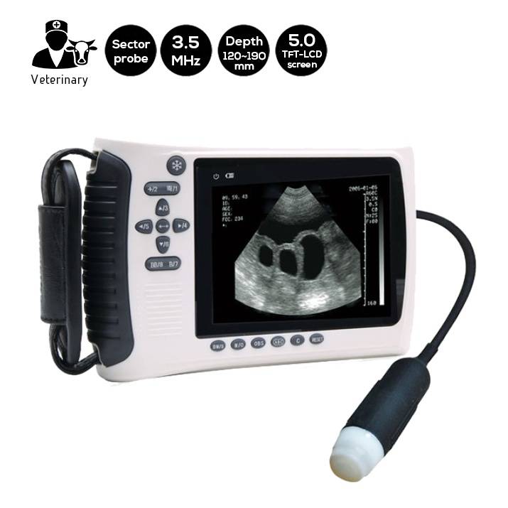 SIFULTRAS-4.4 Scanner a ultrasuoni con sonda settoriale portatile veterinaria, 3.5 Mhz principale