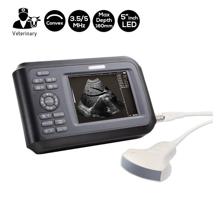 Portable Veterinär Ultraschall Scanner 3.5 - 5 MHz - SIFULTRAS-4.41 main
