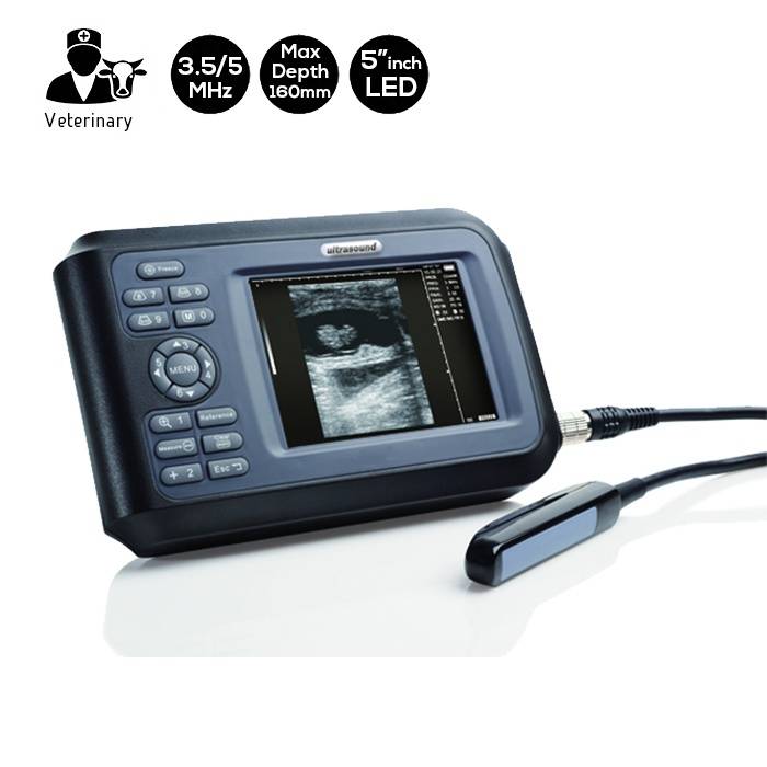 Rectale Veterinaire Echografie Scanner 3.5 - 5 MHz - SIFULTRAS-4.42 hoofdfoto